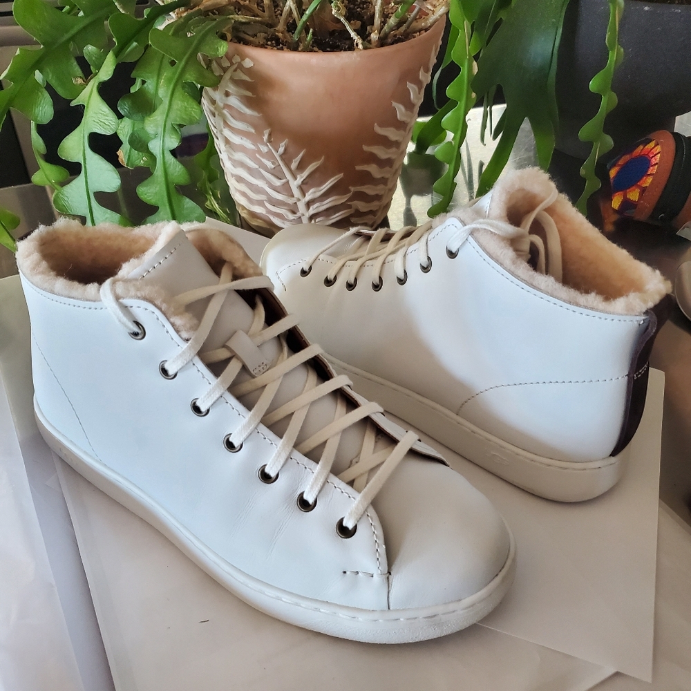 UGG Pismo High Cozy Insulated Sneakers